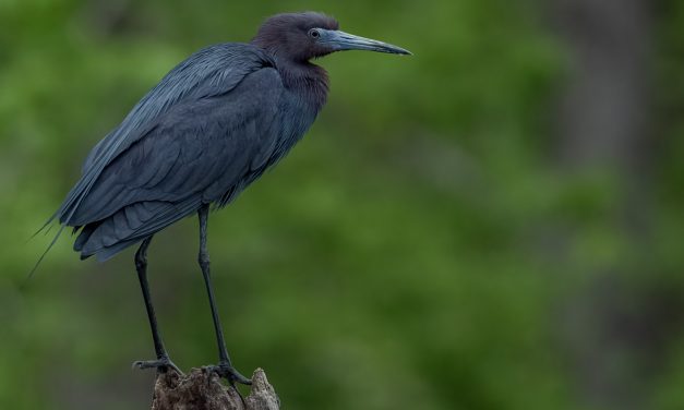 Field Trip to Lake Tawakoni State Park 03-28-22