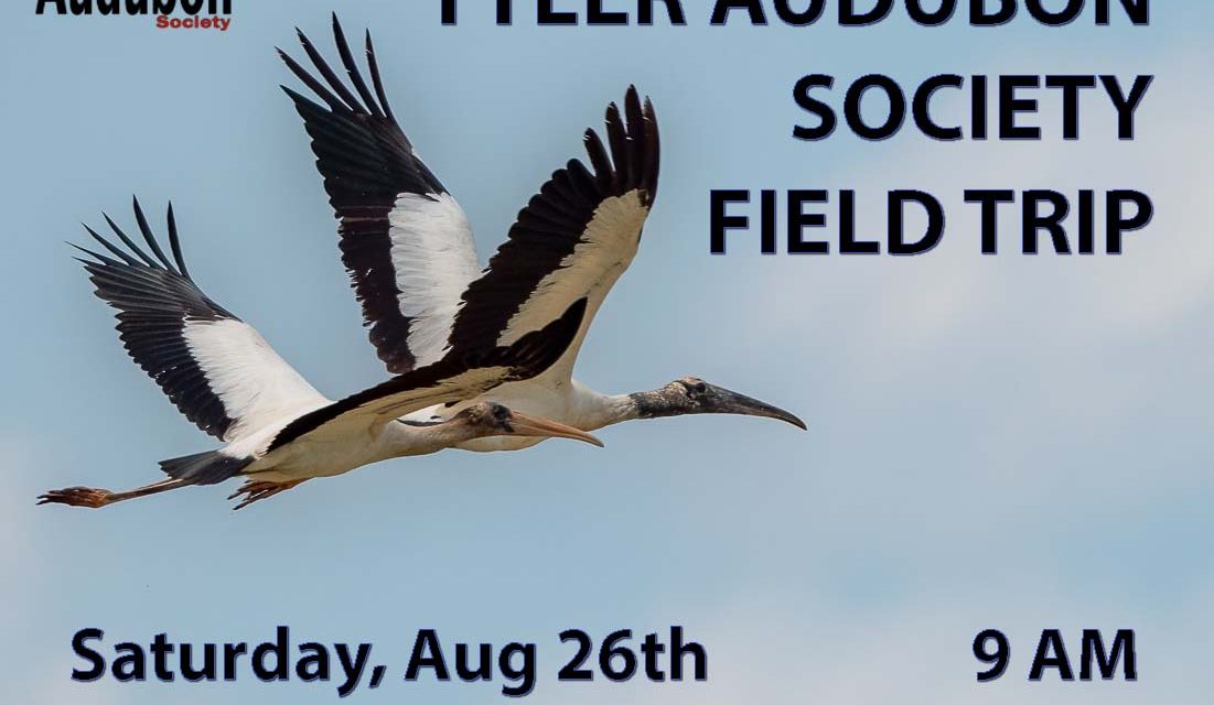 Field Trip to Richland Creek August 26, 2023