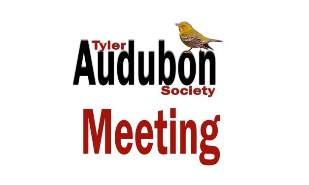 Monthly Meeting – April 8, 2025