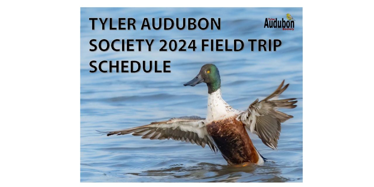 Tyler Audubon Society 2024 Field Trip Schedule