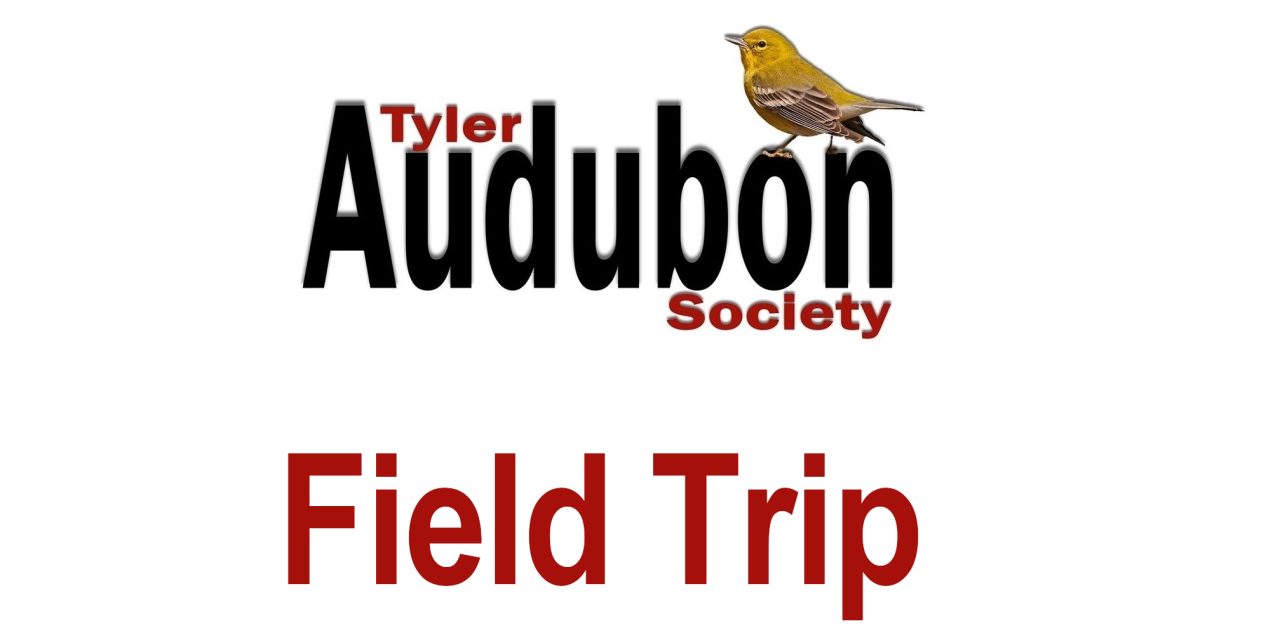 Field Trip to Mineola Nature Preserve