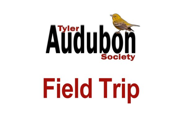 Field Trip to Martin Creek Lake State Park