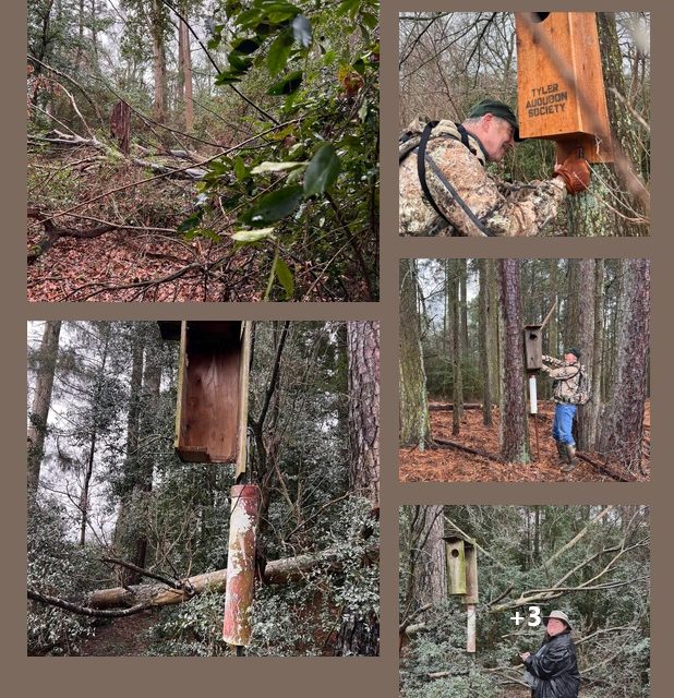Langley Island Pre-cleanup Inspection