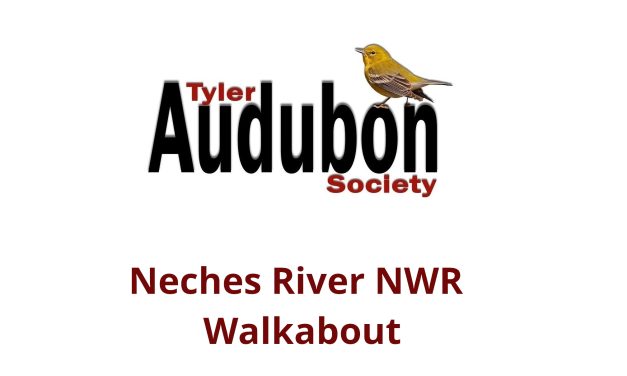 Neches River NWR Walkabout