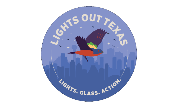 Lights Out, Texas!
