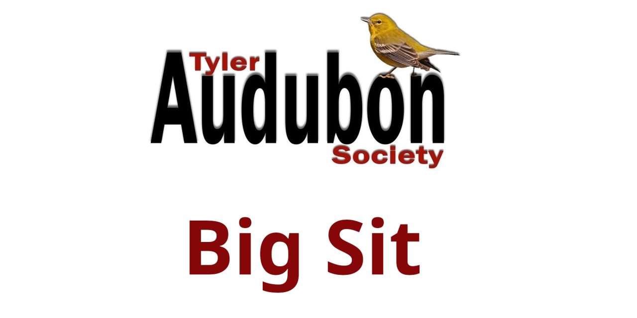 Big Sit/picnic