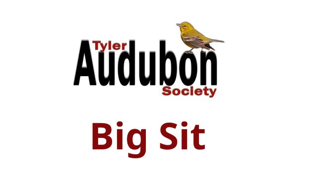 Big Sit/picnic