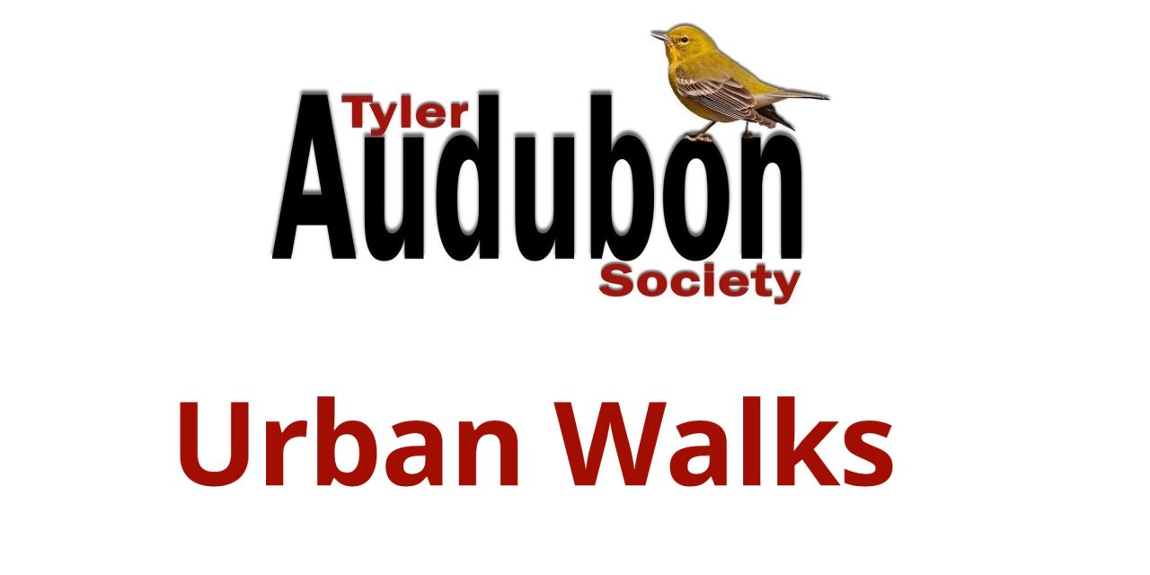 Tyler Audubon Society – Urban Walks Summer 2025