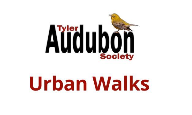 Tyler Audubon Society – Urban Walks Summer 2025