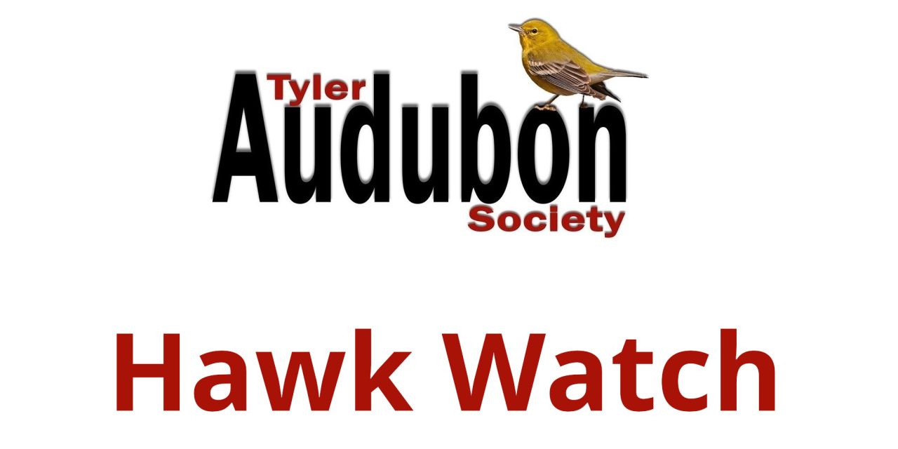 Hawk Watch at Tyler State Park