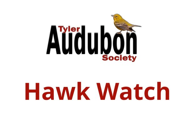Hawk Watch at Tyler State Park